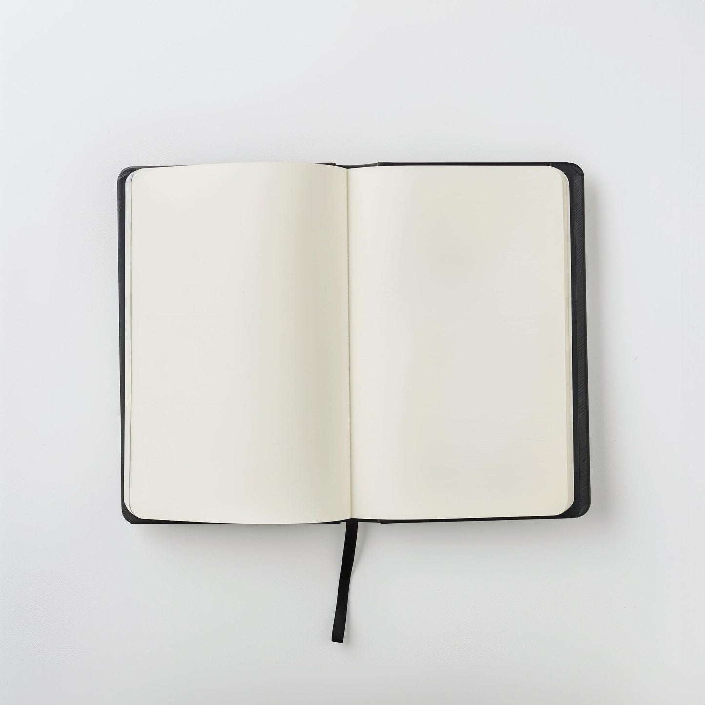 Official diary